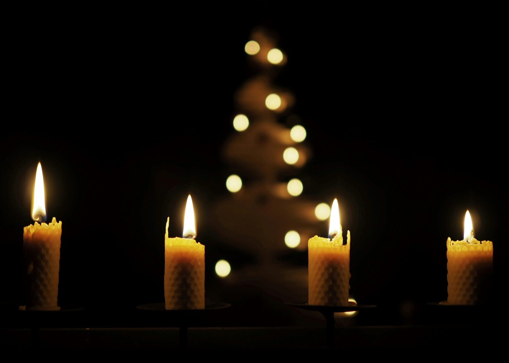 Adoration for the Youth